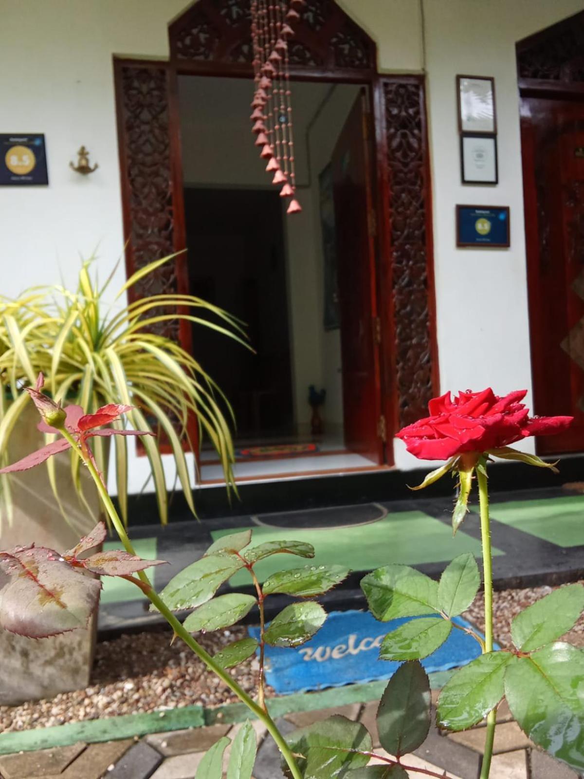 Hotel Awon Mirissa Zewnętrze zdjęcie